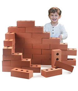 Foam Bricks (50Pk) 
