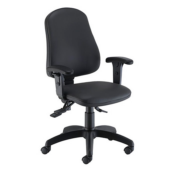 Calypso Ergo 2 Lever Office Chair with Lumbar Pump and Adjustable Arms