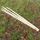 Large Bamboo Sticks - Pack Of 5 - view 2